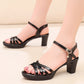 Platform Block Heels Peep Toe Dress Sandals